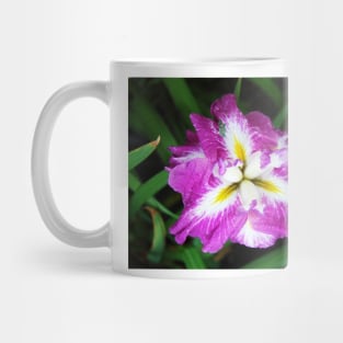 Splendor Mug